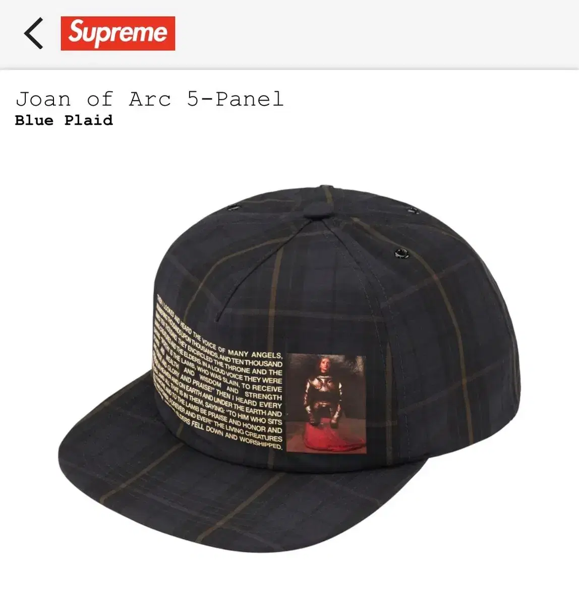 即日発送】Supreme Joan of Blue Arc 5-Panel Plaid キャップ | sos.cafe